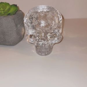Orrefors Kosta Boda "Still Life" Skull Votive: Clear